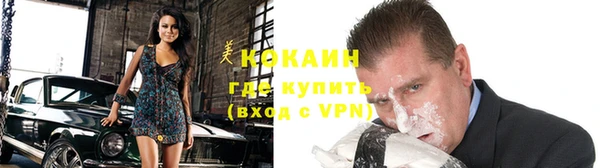 тгк Бородино
