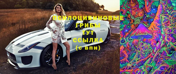 тгк Бородино