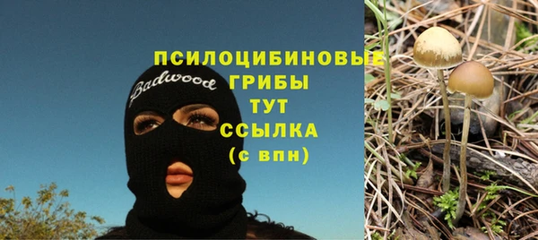 герыч Бугульма