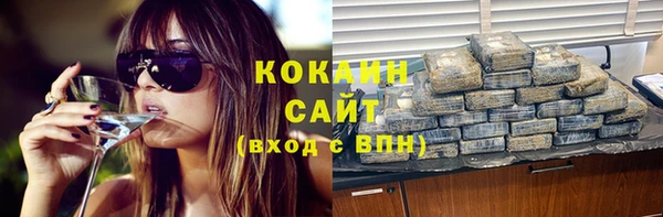 тгк Бородино