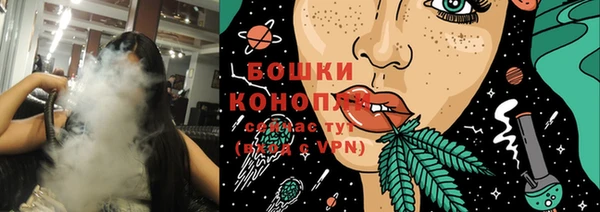 тгк Бородино