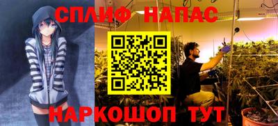 дмт Нальчик