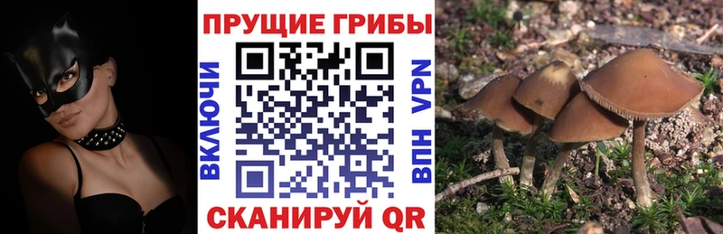 Псилоцибиновые грибы Magic Shrooms Тольятти