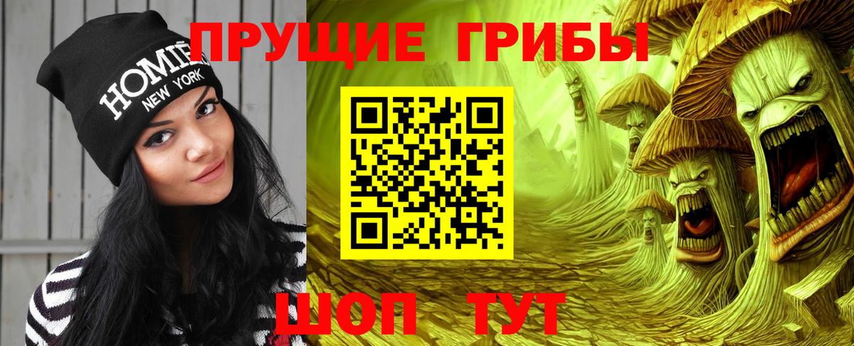 Галлюциногенные грибы Psilocybe Тольятти