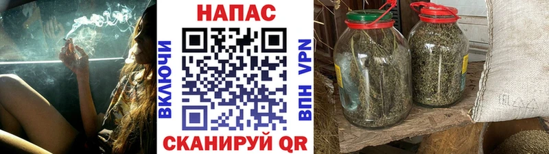 Каннабис OG Kush  Тольятти 